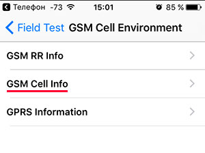 Меню GSM Cell Environment в iPhone