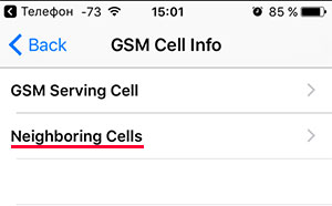 Меню GSM Cell Info в iPhone