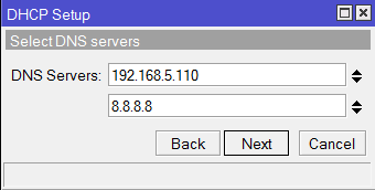  DNS   DHCP 