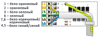 mcWit-100 NS-M5 