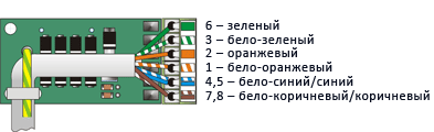    mcWit-100 NS-M