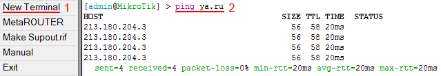 ping MikroTik